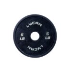 DISCOS FRACCIONARIOS / MINI DISCOS LBS