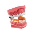 AIRWAAV-PX2-Mouthpiece-Teeth