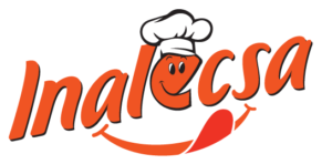 logo-ina